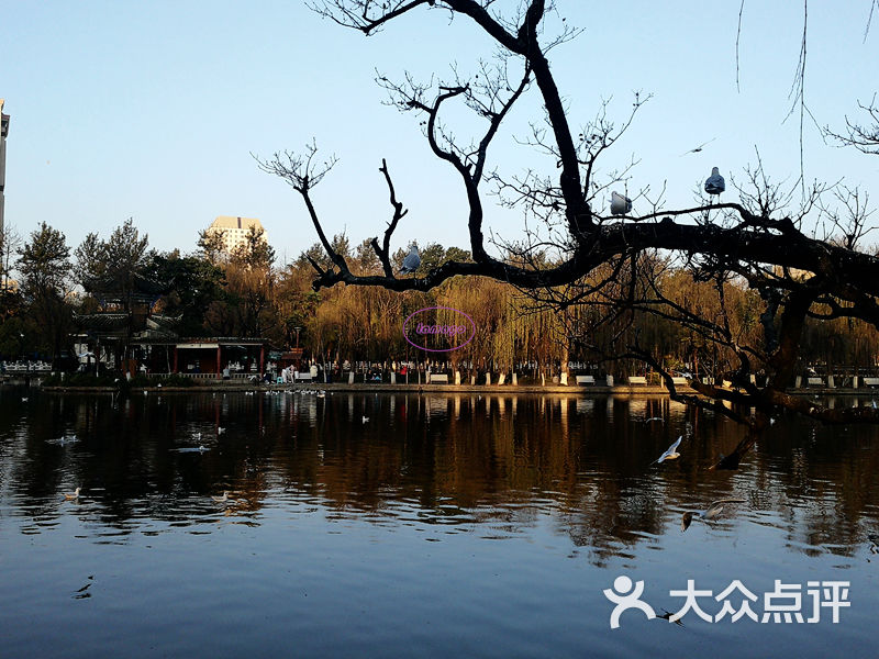 翠湖公园图片-北京公园-大众点评网