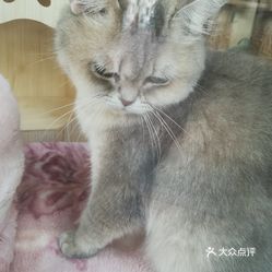 yrl6-ZuNFVdlpJvJMIZZkLQXRxVFmgmRtkiikOMBQfp0g9GKcGwT0s8S0tLexOvQuzFvxlbkWx5uwqY2qcjixFEuLYk00OmSS1IdNpm8K8twhW7bzr4O88Ivp4FuDG0SfCF2ubeXzk49OsGrXt_KYDCngOyCwZK-s3fqawWswzk.jpg