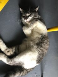 花猫哥哥全集完整版 yrmn9h_5-4YUnUSTJxaBsrJxGGwj1p9Y6X2ZQqol9gq0x3oIZg_g1VJgtezBVmLr.jpg