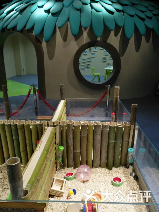 自然有意思科学探索馆-图片-常州周边游