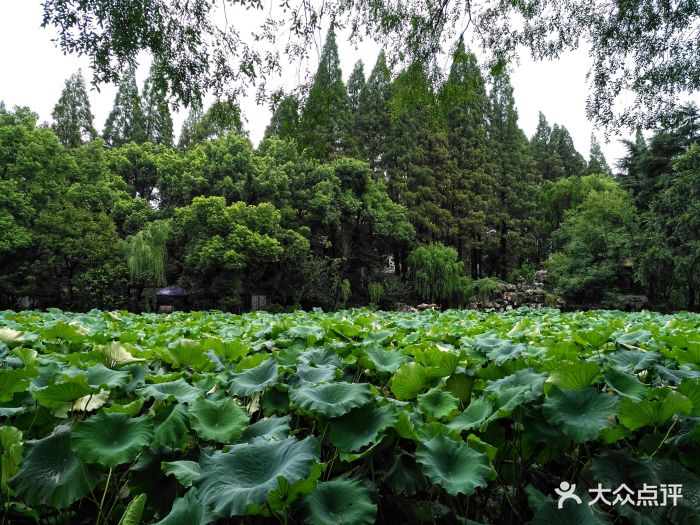 莲花庄公园图片 - 第34张