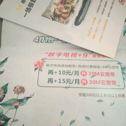 华数数字电视客服中心(凤凰路店)