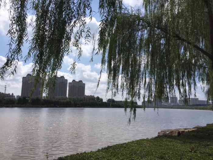 伊通河工业轨迹公园-"昨天七夕情人节收到花了吗?乐观姐收到了.