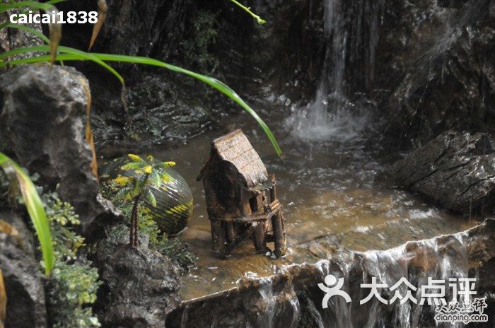 大连金石滩海鲜大排档_大连金石滩汤景泽温泉_金石滩大连海鲜农家菜