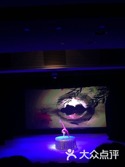 魅力东方杂技演出秀图片 - 第5张