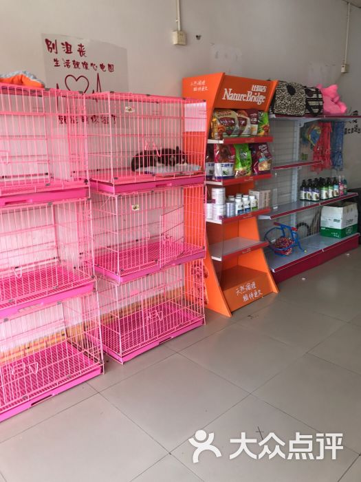 犬乐宠物店图片 - 第10张