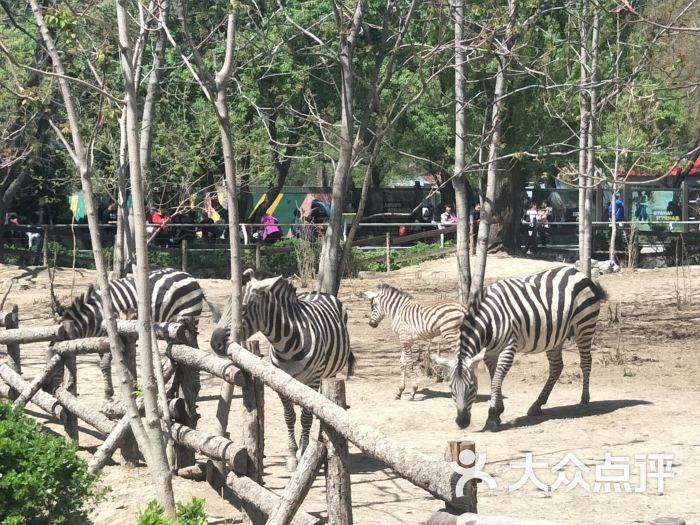 北京动物园图片 - 第1张