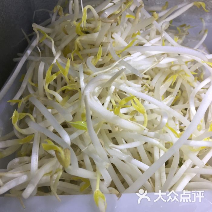 小郡肝vs麻辣烫