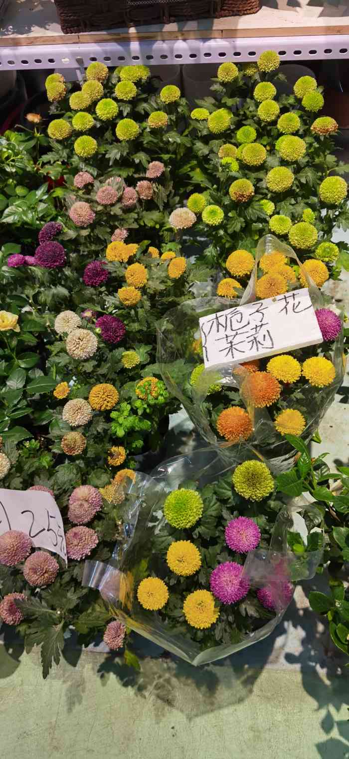 蟹岛国际花卉-"新开在蟹岛的一个花卉市场,很好找,进.