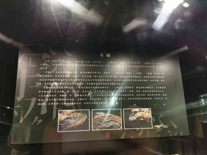 九龙沉香博物馆-"九龙沉香博物馆位于九滨路.整个博物