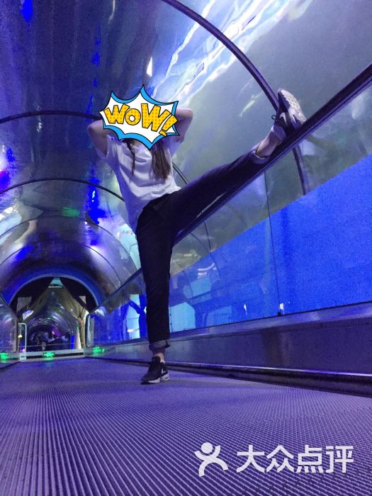 云龙湖水族馆内景,没单独拍,这张凑数的,但是也应该能看出一般般吧