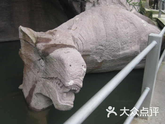 蛇头
