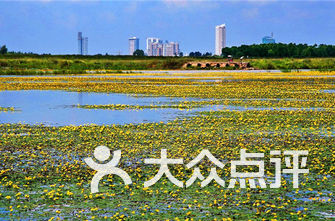 哈尔滨旅行社排名_哈尔滨图文店排名