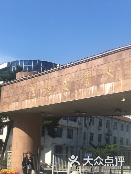 沈阳农业大学校门图片 - 第7张