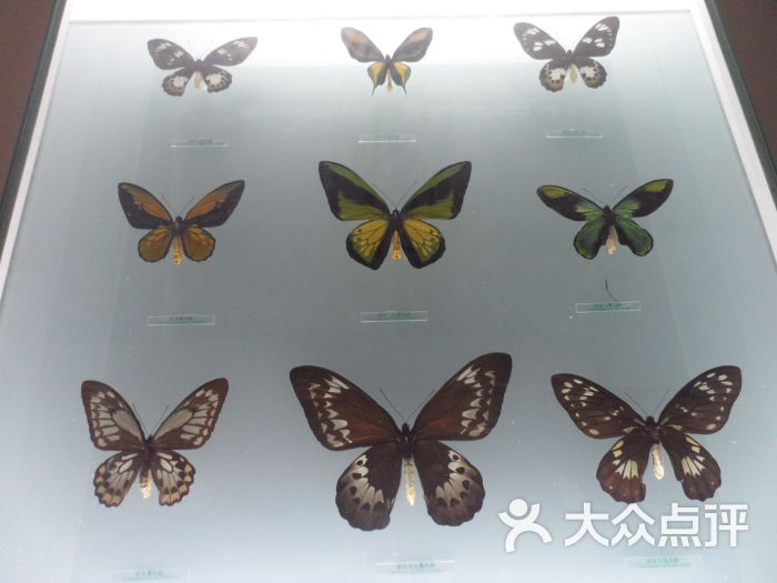 国家动物博物馆-图片-北京周边游