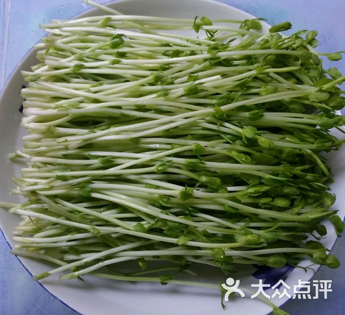 小玲老厨房重庆祝盈农业有机豌豆苗菜,订货电话189965