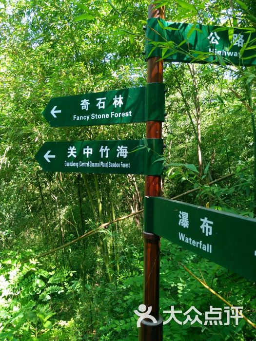 西安鲸鱼沟竹海风景区图片 第9张