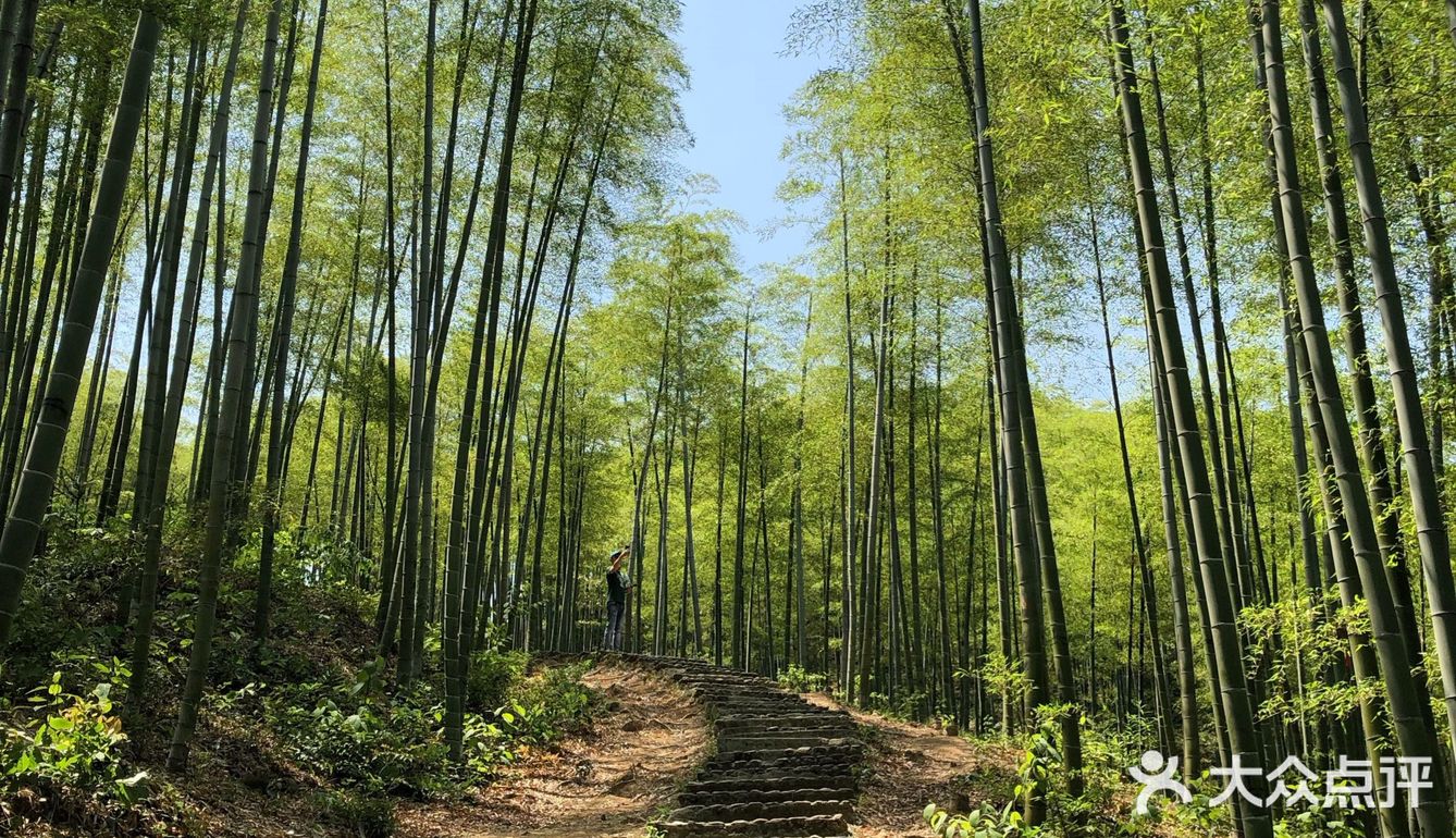 早就听闻卧虎藏龙是在安吉竹海取景拍摄正好这次5月1