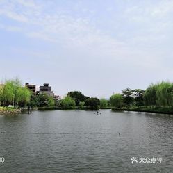 港头村人口_迳头镇各村人口(2)