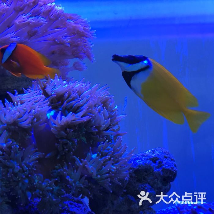 徐州水族展览馆