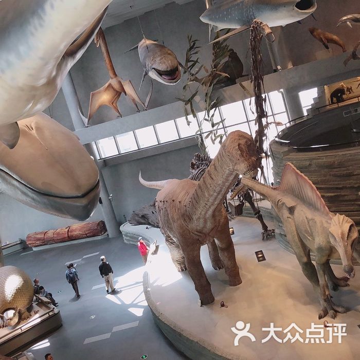 自然博物馆图片-北京博物馆-大众点评网