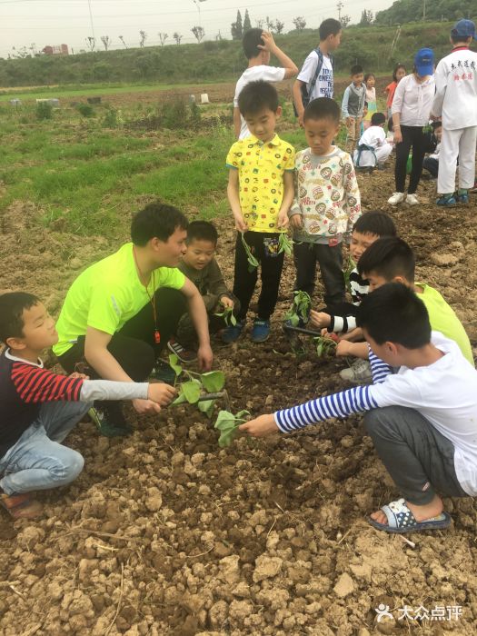 乐生活多肉diy基地体验农场的种植图片 - 第5张