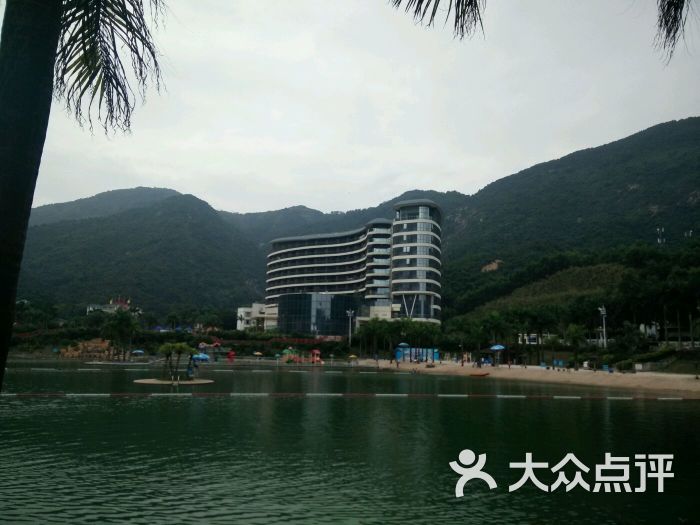 龙泉酒店沙滩游泳池-图片-新会运动健身-大众点评网