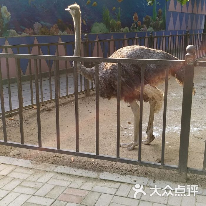 郑州市动物园