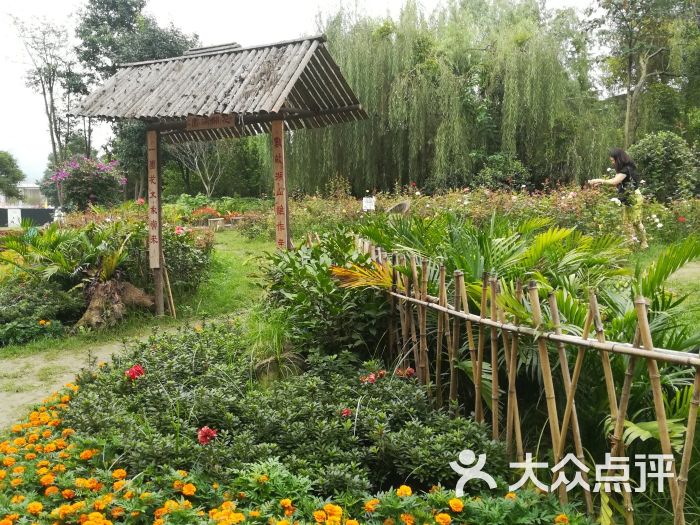 成都植物园图片 - 第4张