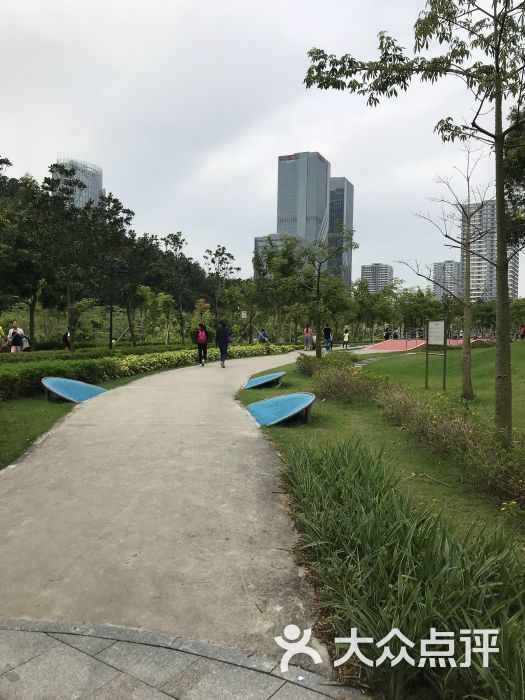 元宝山体育公园(篮球场,足球场-图片-江门运动健身-大众点评网