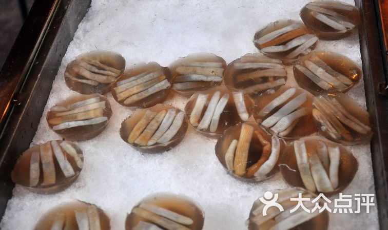 土笋冻,像果冻一样诱人,可里面居然是沙虫