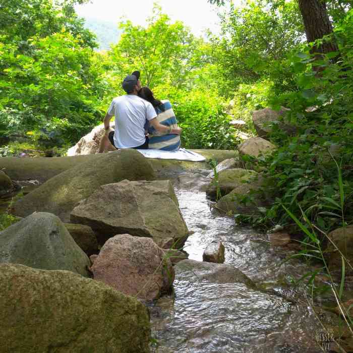 花花浪森林公园-"开车自己去的,司机同志技术不好,开.