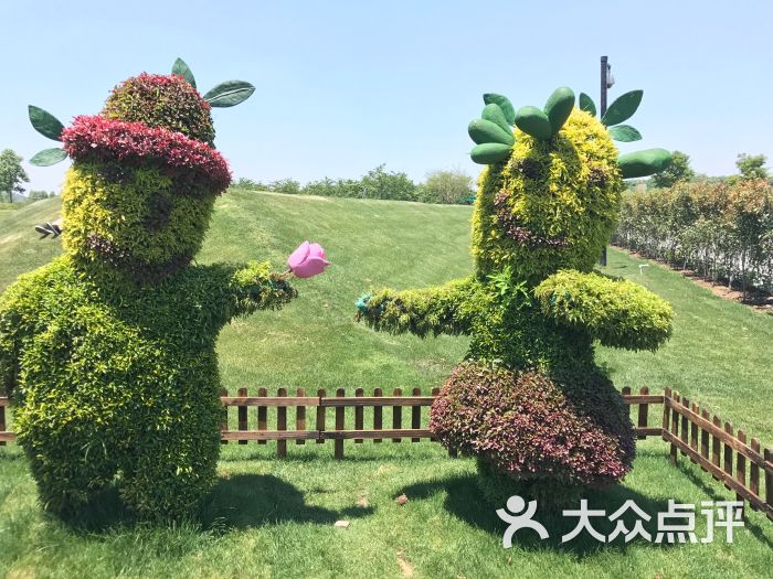 上海辰山植物园景点图片 - 第18张