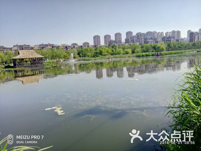 前关湿地公园图片 第11张