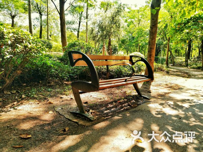 金沙洲绿心公园图片 - 第22张