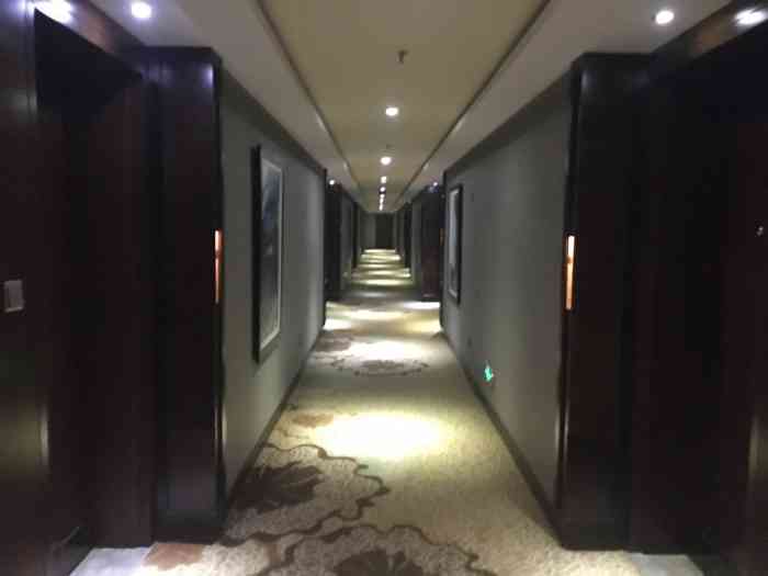 沈阳龙之梦大酒店-"嗯 很不错 在五星级酒店中 这种.