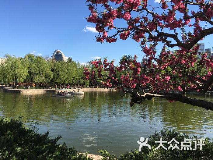 团结湖公园-图片-北京周边游-大众点评网
