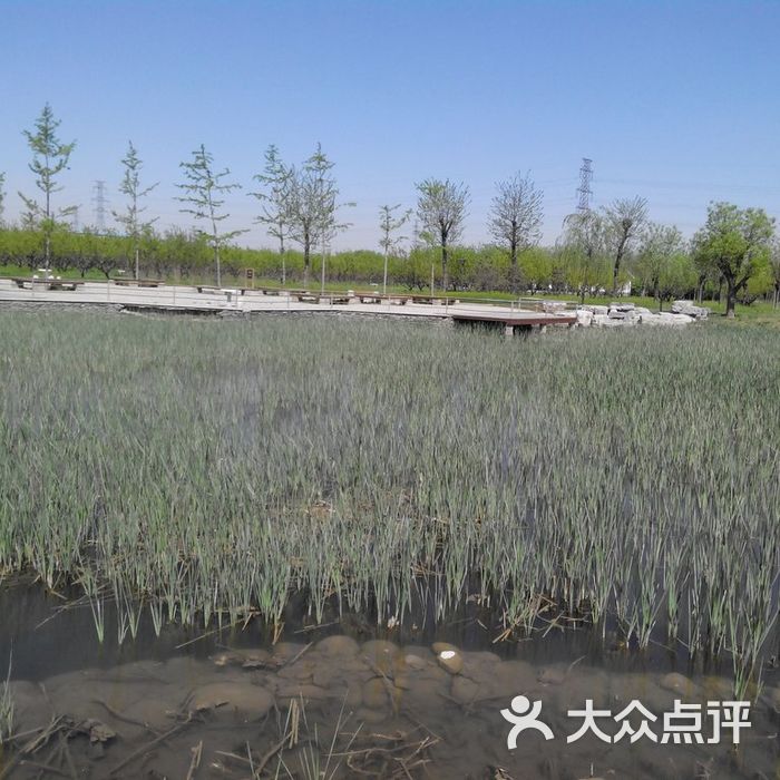 旺兴湖郊野公园