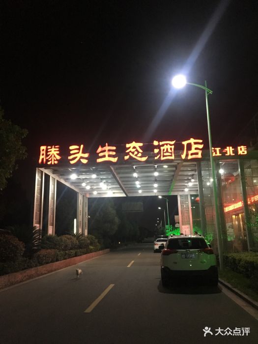 滕头生态酒店(江北店)--环境图片-宁波美食-大众点评网