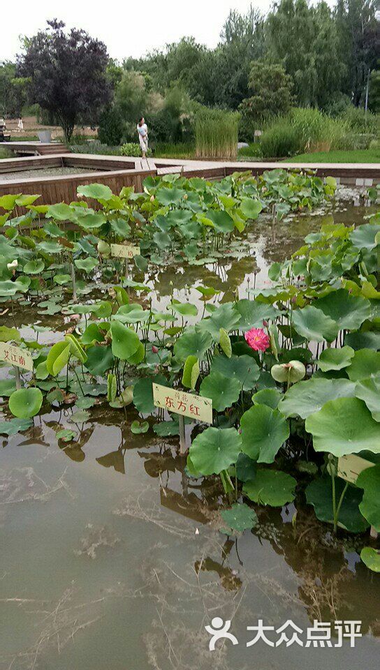 西安植物园