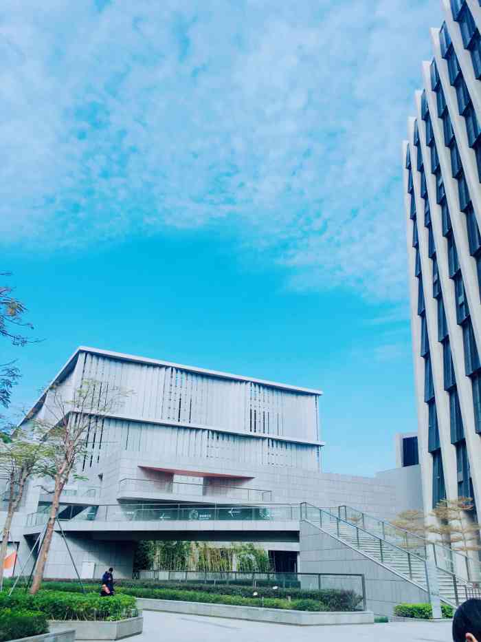 深圳市坪山区图书馆-"被誉为鹏城最美图书馆的坪山区