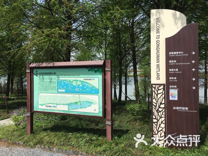 贡湖湾湿地公园图片 - 第3张
