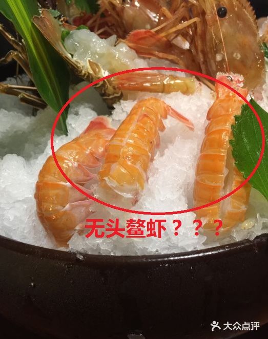 万岛日本料理铁板烧(外滩店)牡丹虾和鳌虾图片 - 第2907张