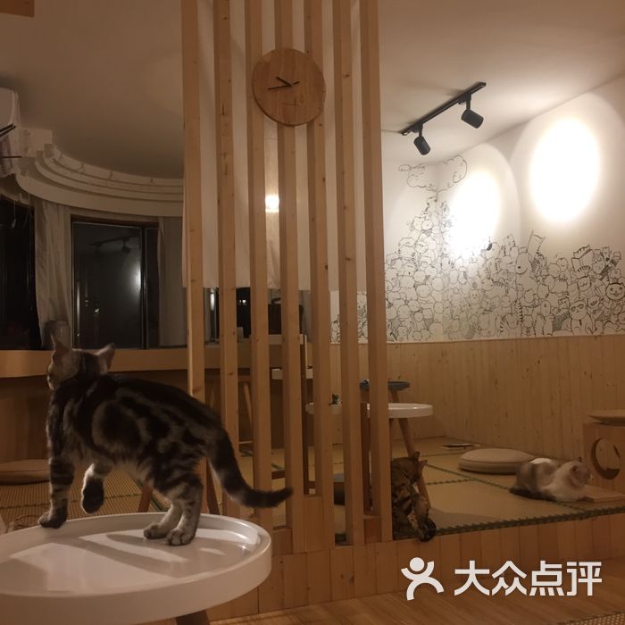 猫觅休闲猫咪咖啡馆