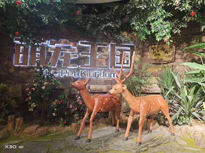 mini zoo 萌宠王国-"周末带了小宝去游玩,就在彩虹谷