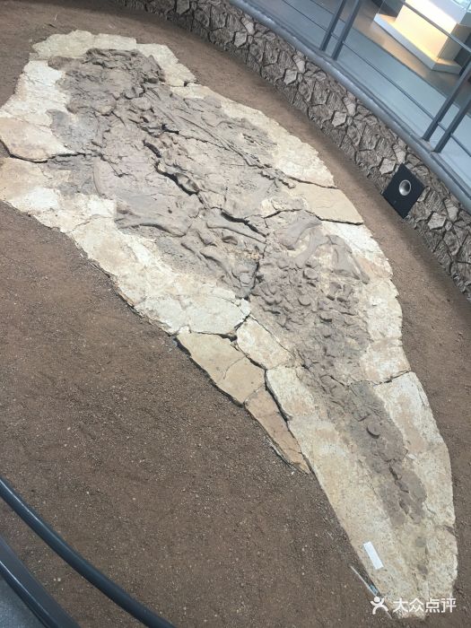 朝阳化石谷图片 第2张