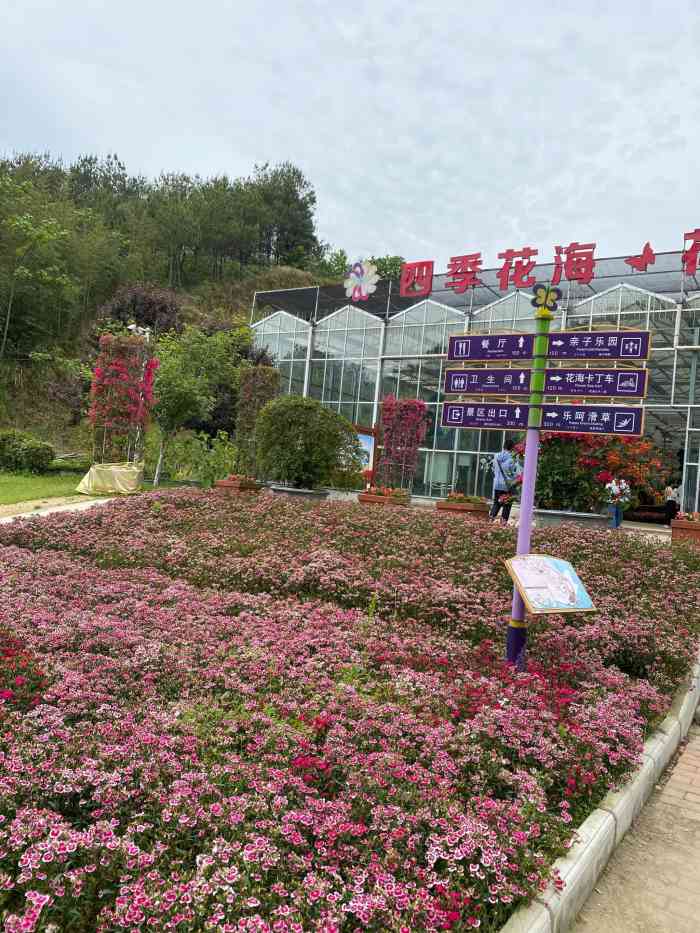 英山四季花海景区-"五一期间和家里人来玩,我们是从寨