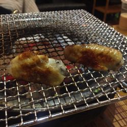 怎么样挑选鸡中翅 zOVx1MK_EcXmTTp--2wD3TmCv45hfrvLS6w_8JmrI1ukny307jm2VFt7_Mp2KreTF5u7J_jS4MuCaeLAHD0KTg.jpg