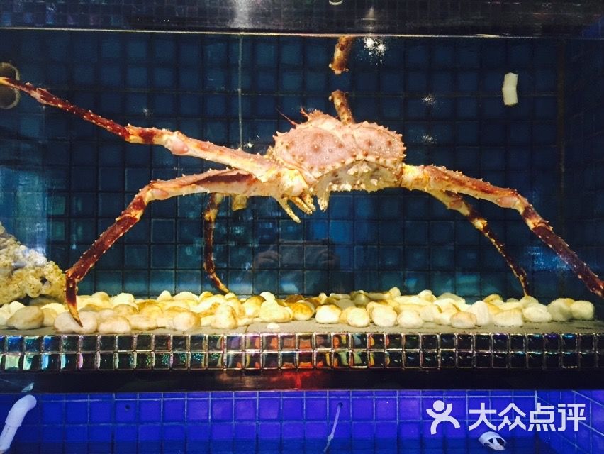 官也街澳门火锅(东直门店)-图片