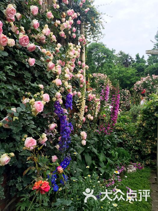 海蒂的花园-图片-成都生活服务-大众点评网